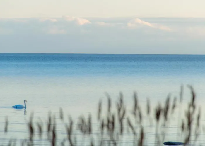 Holiday home Kuus Solme - Sea View Kuressaare